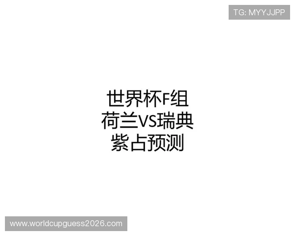世界杯荷兰瑞典小组赛精彩回顾与赛程分析全面解析 世界杯荷兰瑞典小组赛精彩回顾与赛程分析全面解析